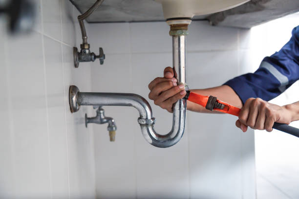 Best Plumbing Services Near Me  in Prophetstown, IL