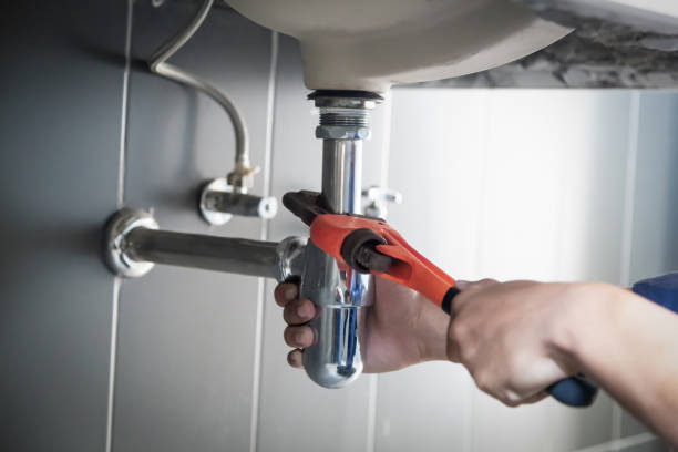 Best Clogged Drain Plumber  in Prophetstown, IL