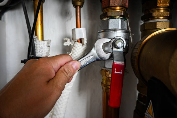 Best Affordable Plumbing Services  in Prophetstown, IL